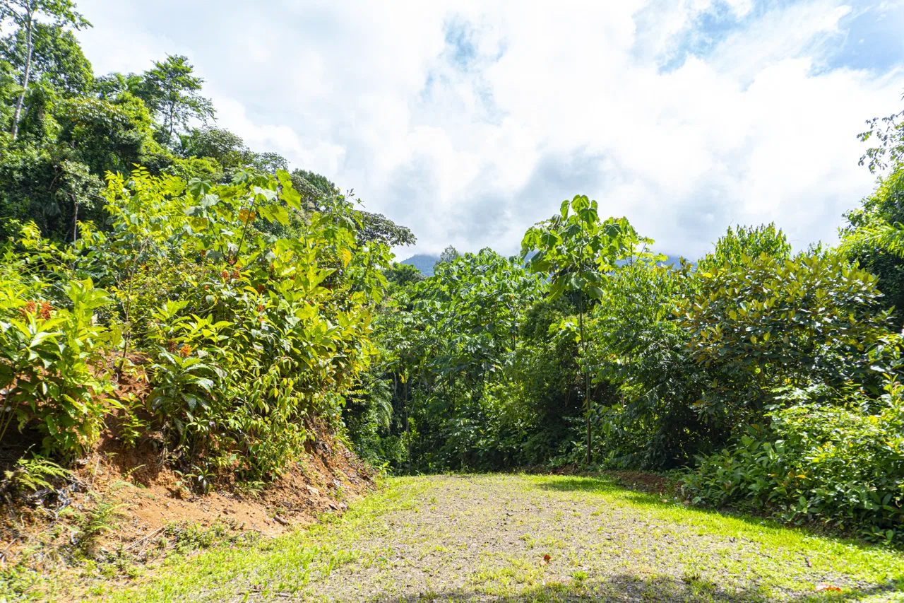 3 acres, MNT Views, Tierra del Ceibo lot #5, photo 6