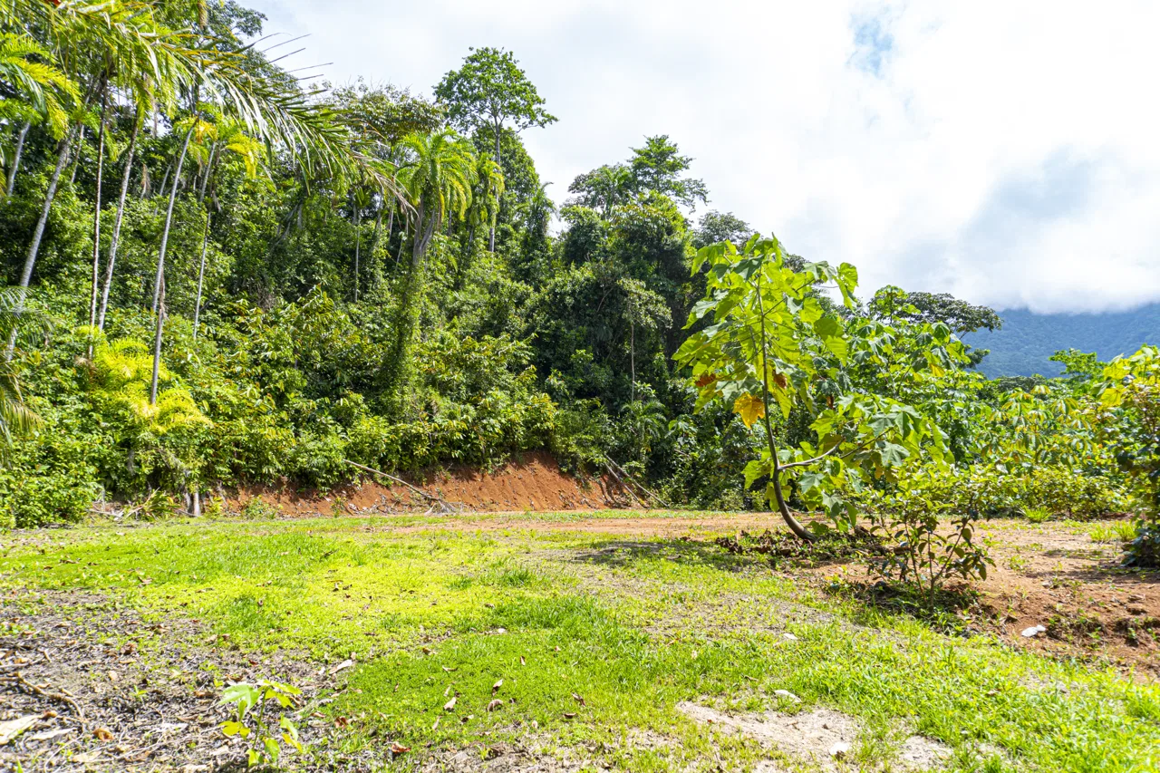 3 acres, MNT Views, Tierra del Ceibo lot #5, photo 7