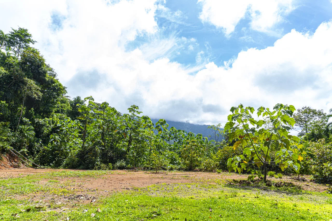 3 acres, MNT Views, Tierra del Ceibo lot #5, photo 8