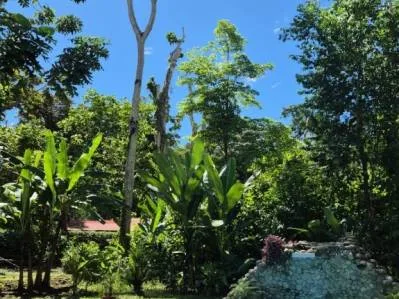 Casa moderna en Cahuita – tu oasis tranquila en el Caribe, photo 4