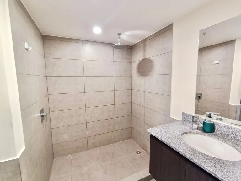 Apartment in Barrio Los Yoses, photo 8