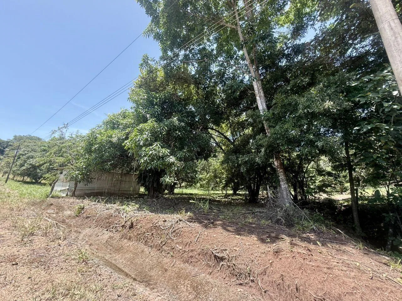 Lote en Venta en Coyolar ,Orotina