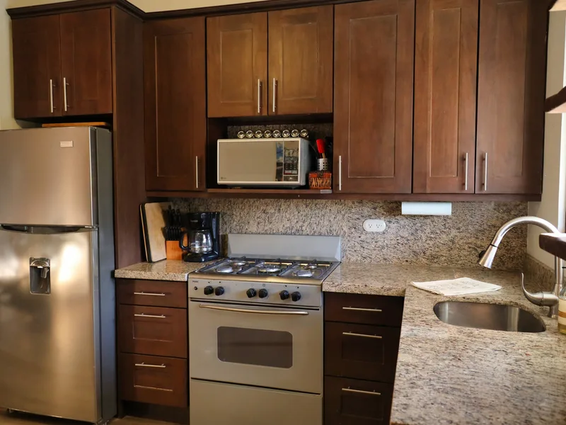 2 Bed Condo For Sale in Playas Del Coco, photo 3