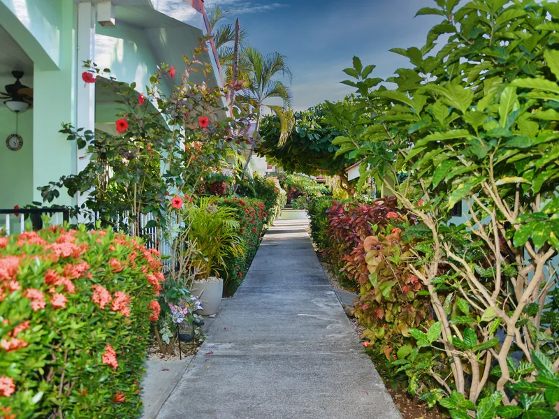 2 Bed Condo For Sale in Playas Del Coco, photo 7
