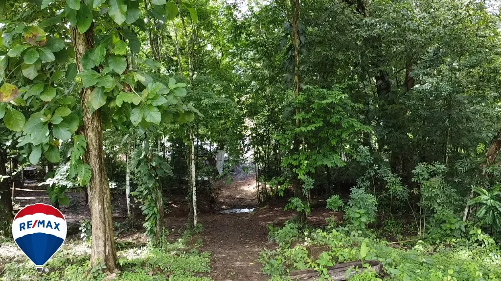 PRIVET AND SECLUDED LOT / SAN ANTONIO DE TULIN, photo 3