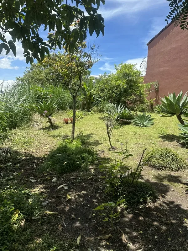 Land for sale in Curridabat, excellently located in a residential area., photo 3