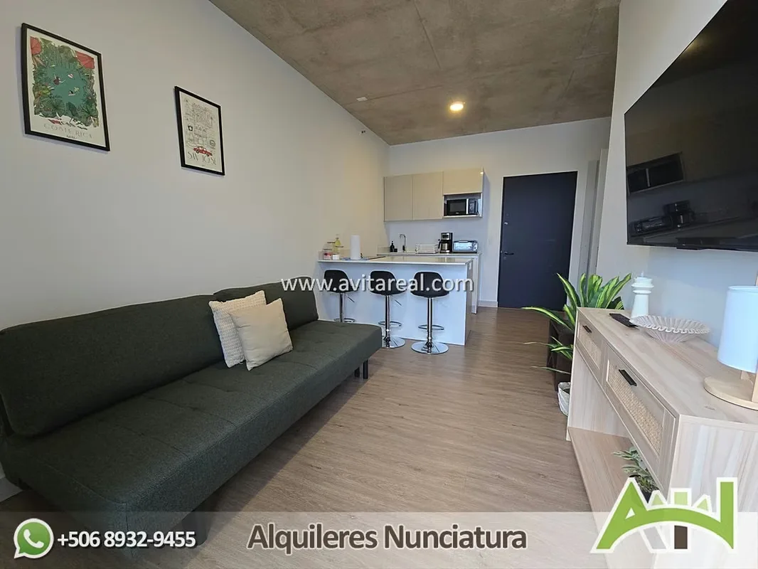 Furnished Apartment for Rent in Barrio Escalante – 1 Bedroom