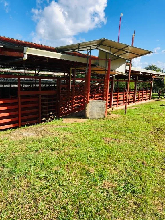 Manufacturing Space in Bijagua