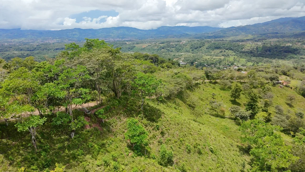 For Sale: 3.8 Hectares in Pérez Zeledón with Creek, Fruit Trees, and Stunning Views, photo 13