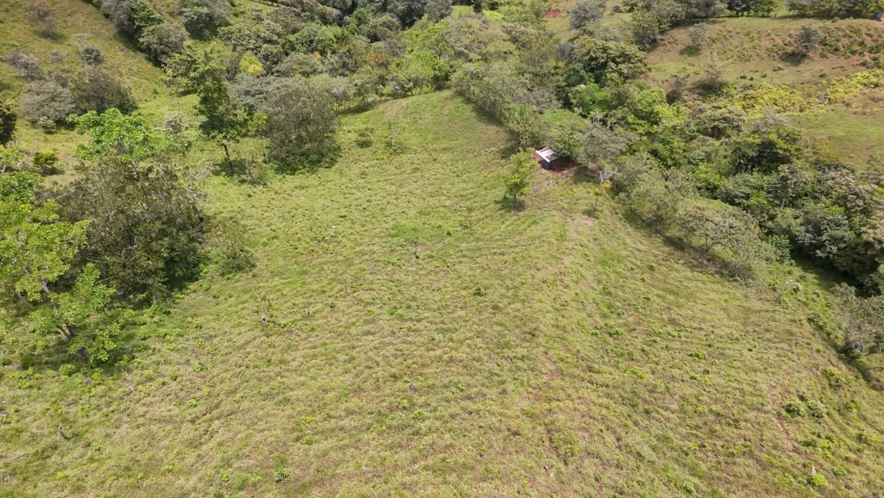 For Sale: 3.8 Hectares in Pérez Zeledón with Creek, Fruit Trees, and Stunning Views, photo 14
