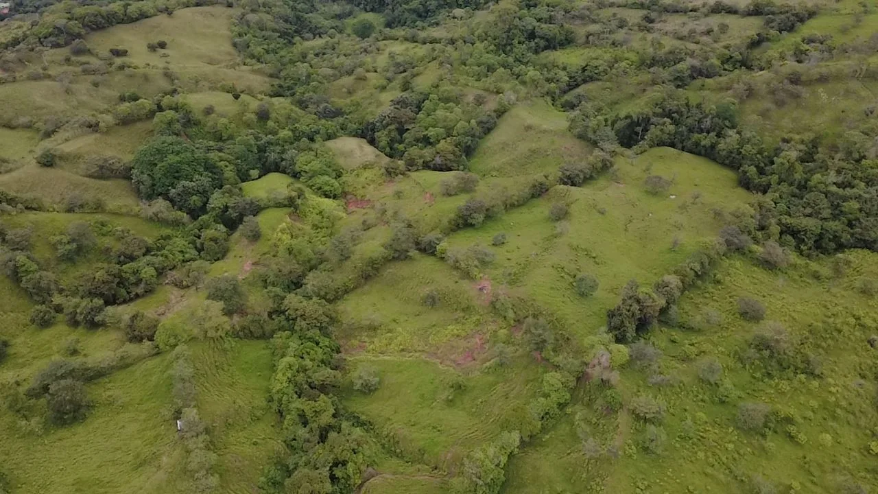 For Sale: 3.8 Hectares in Pérez Zeledón with Creek, Fruit Trees, and Stunning Views, photo 6