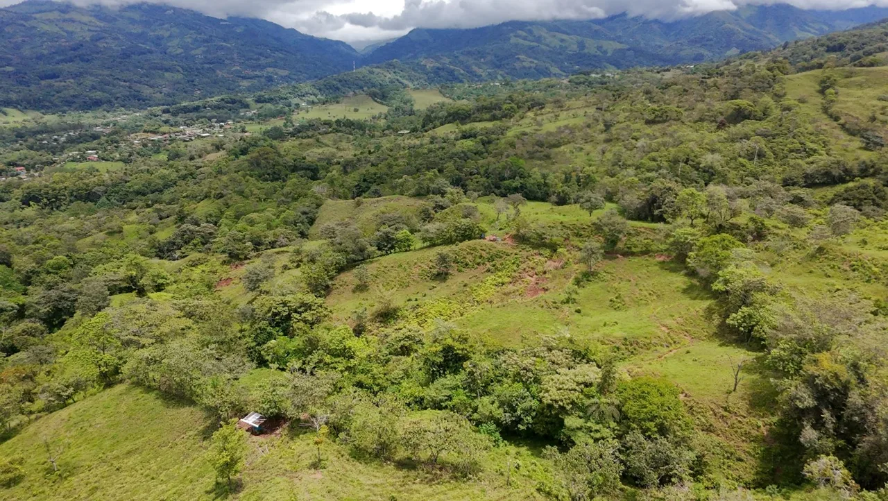 For Sale: 3.8 Hectares in Pérez Zeledón with Creek, Fruit Trees, and Stunning Views, photo 8