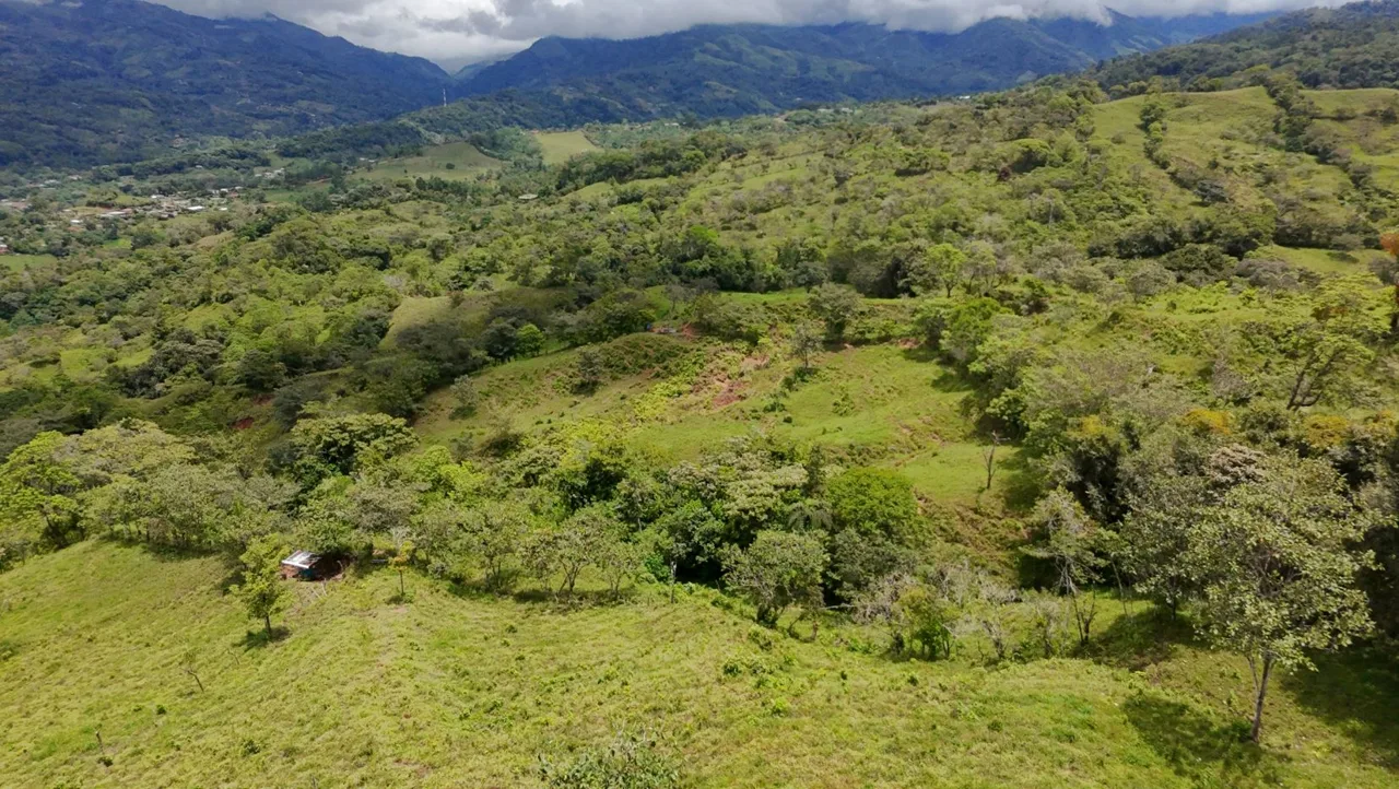 For Sale: 3.8 Hectares in Pérez Zeledón with Creek, Fruit Trees, and Stunning Views, photo 9