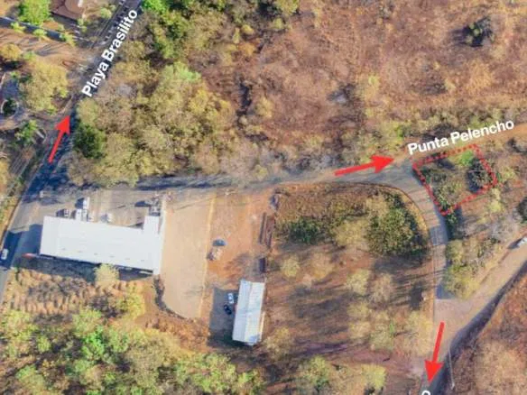 Flamingo Lot for Sale – Prime Location with Water Meter