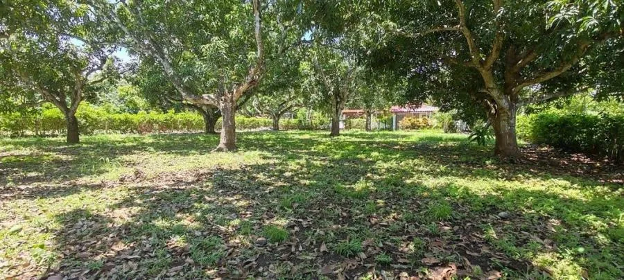 MLS-26-756 LS VENTA LOTE OROTINA ALAJUELA  - Venta en Orotina