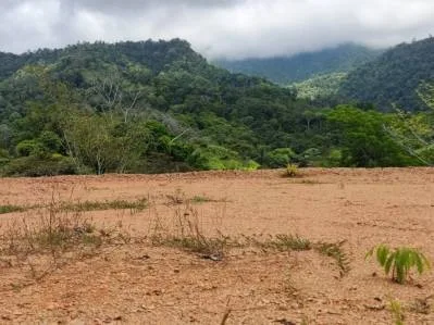 Mountain And Ocean View Land With Two Ready To Build Plantels, Commercial And Residential Potential, photo 6