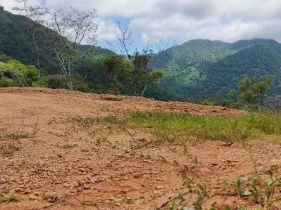 Mountain And Ocean View Land With Two Ready To Build Plantels, Commercial And Residential Potential, photo 7