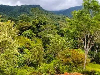 Mountain And Ocean View Land With Two Ready To Build Plantels, Commercial And Residential Potential, photo 9