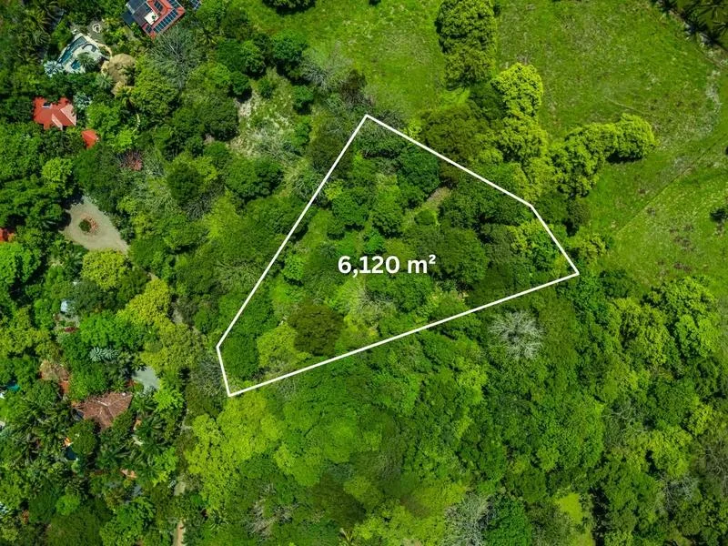Land For Sale in Junquillal, photo 2