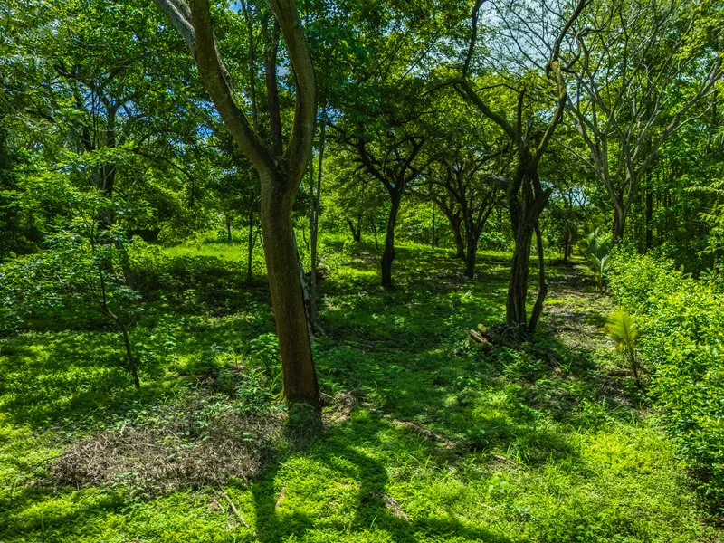 Land For Sale in Junquillal, photo 13