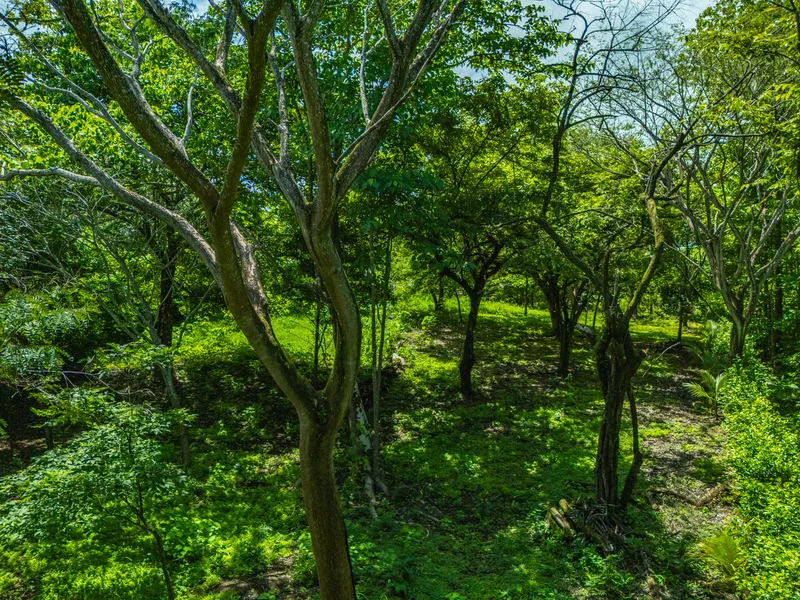 Land For Sale in Junquillal, photo 14