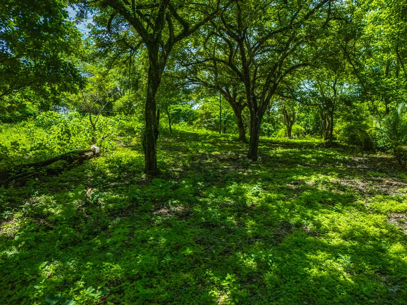 Land For Sale in Junquillal, photo 15