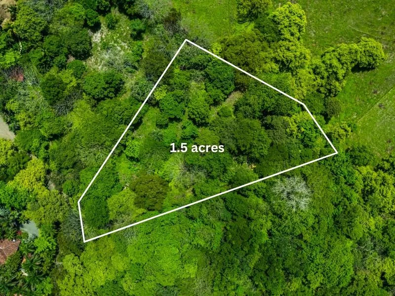 Land For Sale in Junquillal, photo 3