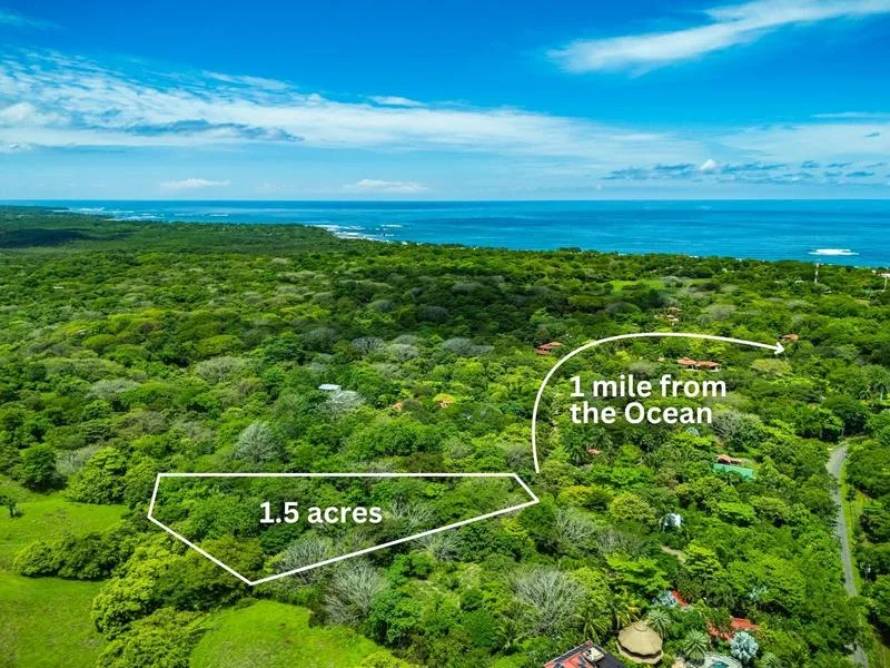 Land For Sale in Junquillal, photo 6