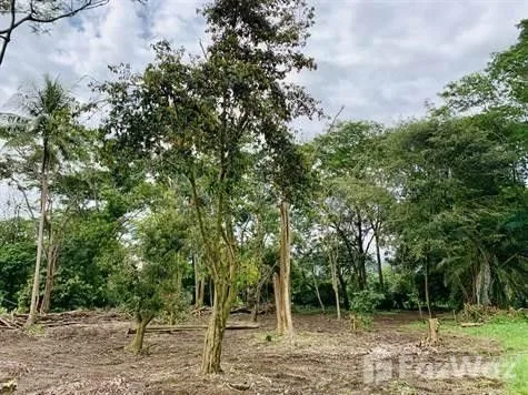 Land for Sale at Uvita for $108,000