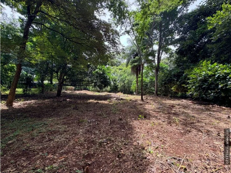 Venta de lotes contiguos en San Mateo de Alajuela