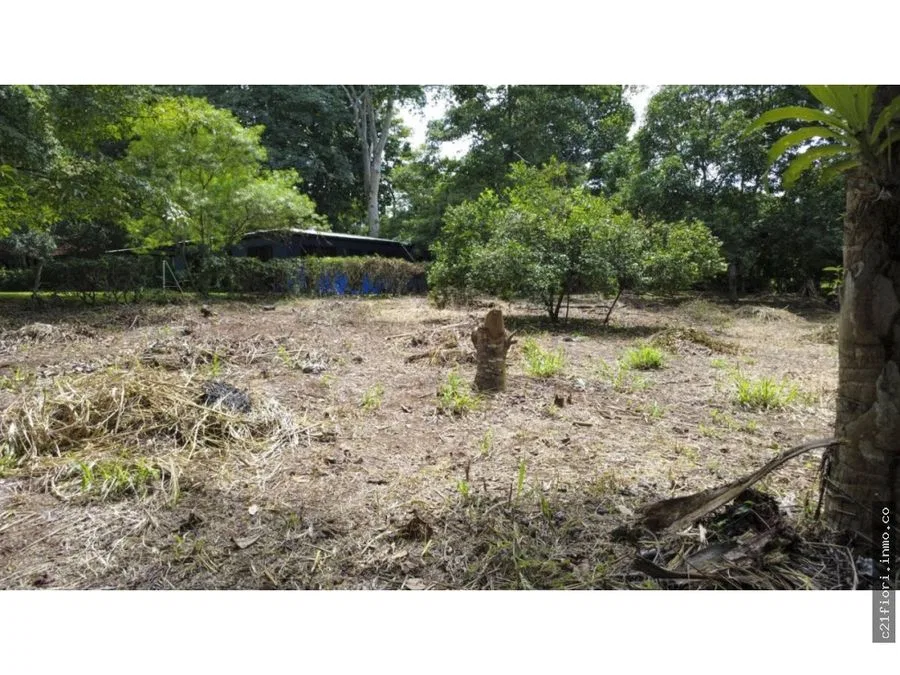 Venta de lotes contiguos en San Mateo de Alajuela, photo 2