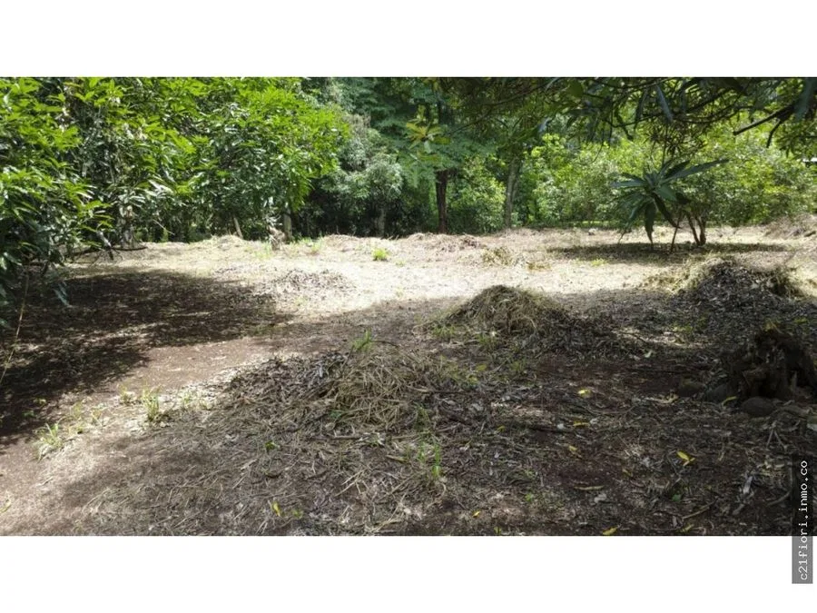 Venta de lotes contiguos en San Mateo de Alajuela, photo 3