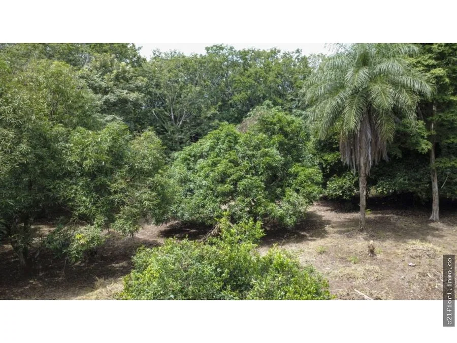Venta de lotes contiguos en San Mateo de Alajuela, photo 4