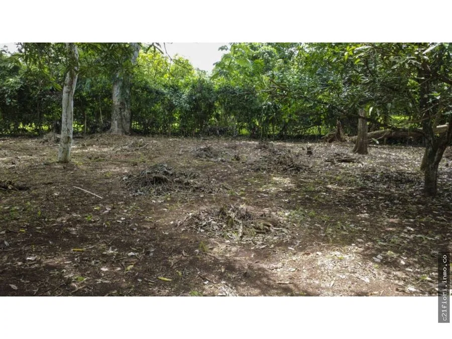 Venta de lotes contiguos en San Mateo de Alajuela, photo 5