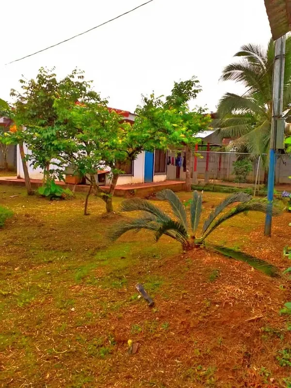 Located 11 kilometers from the entrance to Pueblo Nuevo, MA Advisorias offers you this property with 2 houses at a ..., photo 2
