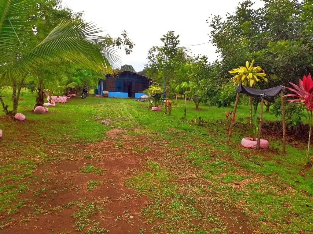 Located 11 kilometers from the entrance to Pueblo Nuevo, MA Advisorias offers you this property with 2 houses at a ..., photo 11