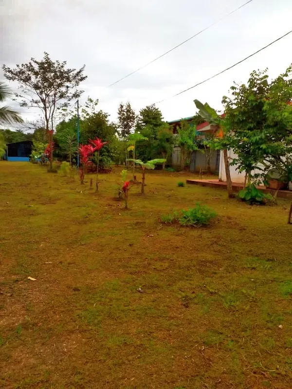 Located 11 kilometers from the entrance to Pueblo Nuevo, MA Advisorias offers you this property with 2 houses at a ..., photo 12