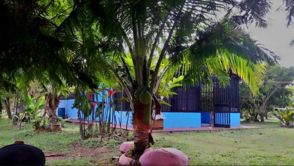 Located 11 kilometers from the entrance to Pueblo Nuevo, MA Advisorias offers you this property with 2 houses at a ..., photo 16