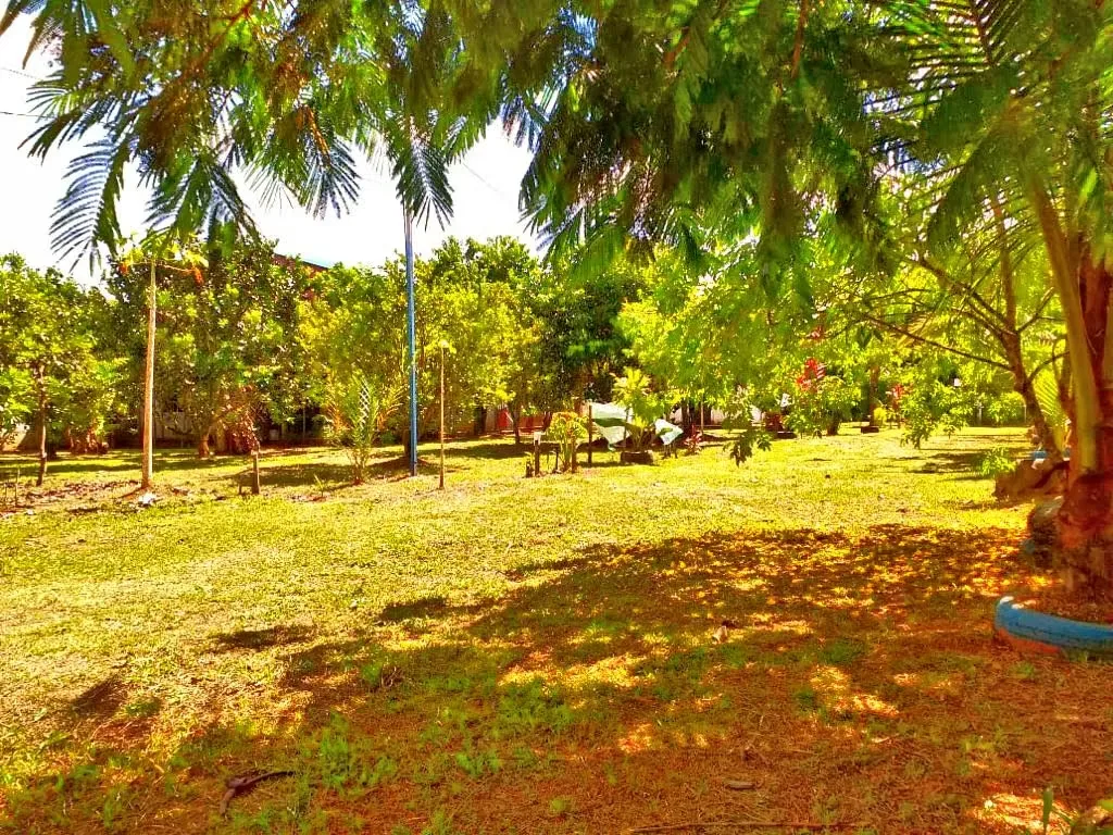 Located 11 kilometers from the entrance to Pueblo Nuevo, MA Advisorias offers you this property with 2 houses at a ..., photo 3