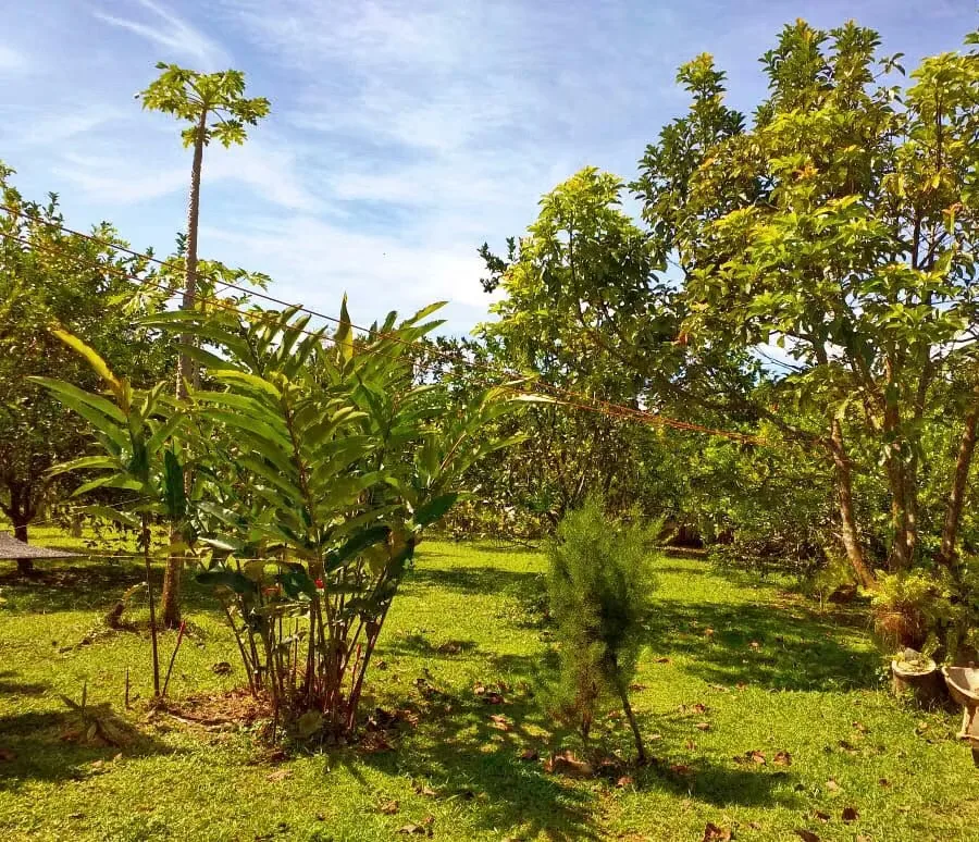 Located 11 kilometers from the entrance to Pueblo Nuevo, MA Advisorias offers you this property with 2 houses at a ..., photo 4