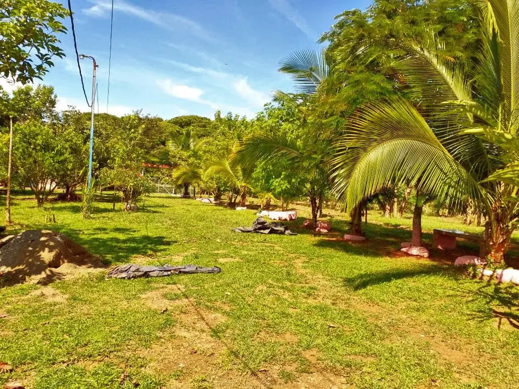 Located 11 kilometers from the entrance to Pueblo Nuevo, MA Advisorias offers you this property with 2 houses at a ..., photo 5