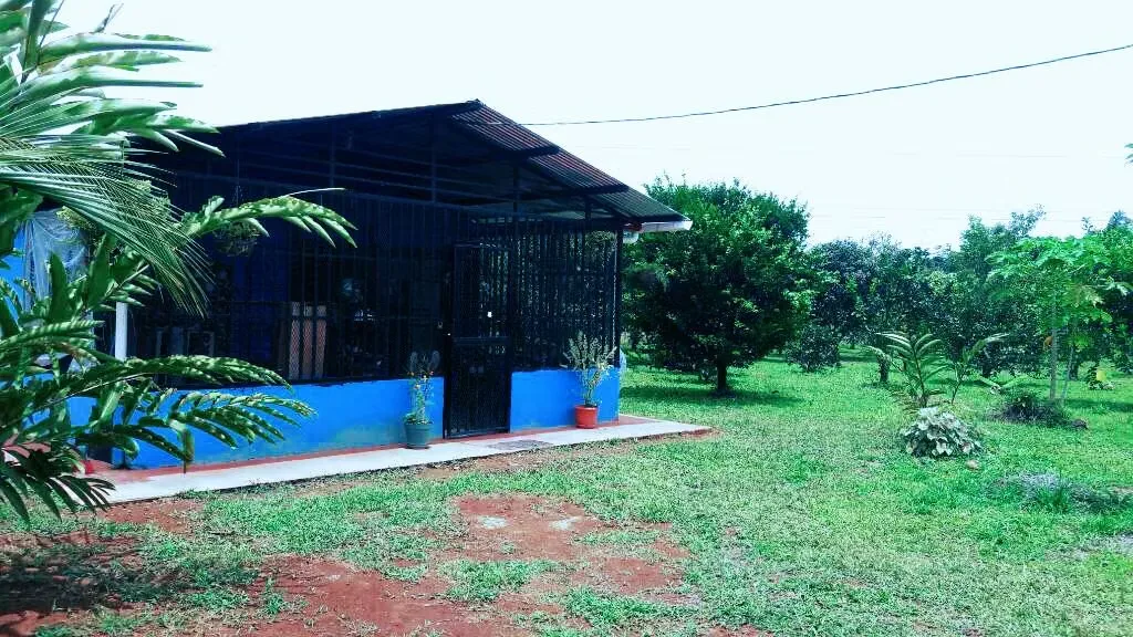 Located 11 kilometers from the entrance to Pueblo Nuevo, MA Advisorias offers you this property with 2 houses at a ..., photo 7