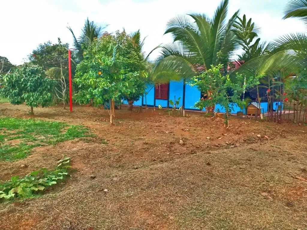 Located 11 kilometers from the entrance to Pueblo Nuevo, MA Advisorias offers you this property with 2 houses at a ..., photo 8