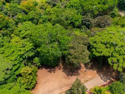 PROPERTY IN OJOCHAL WITH JUNGLE – 2.35 ACRES, photo 26