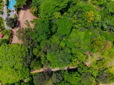 PROPERTY IN OJOCHAL WITH JUNGLE – 2.35 ACRES, photo 27