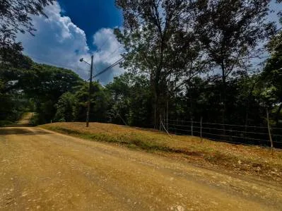 PROPERTY IN OJOCHAL WITH JUNGLE – 2.35 ACRES, photo 28
