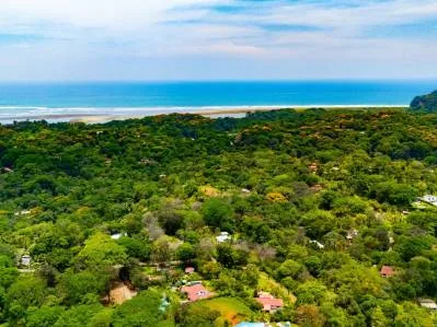 PROPERTY IN OJOCHAL WITH JUNGLE – 2.35 ACRES, photo 29