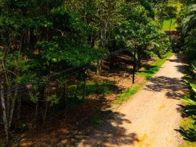 PROPERTY IN OJOCHAL WITH JUNGLE – 2.35 ACRES, photo 30