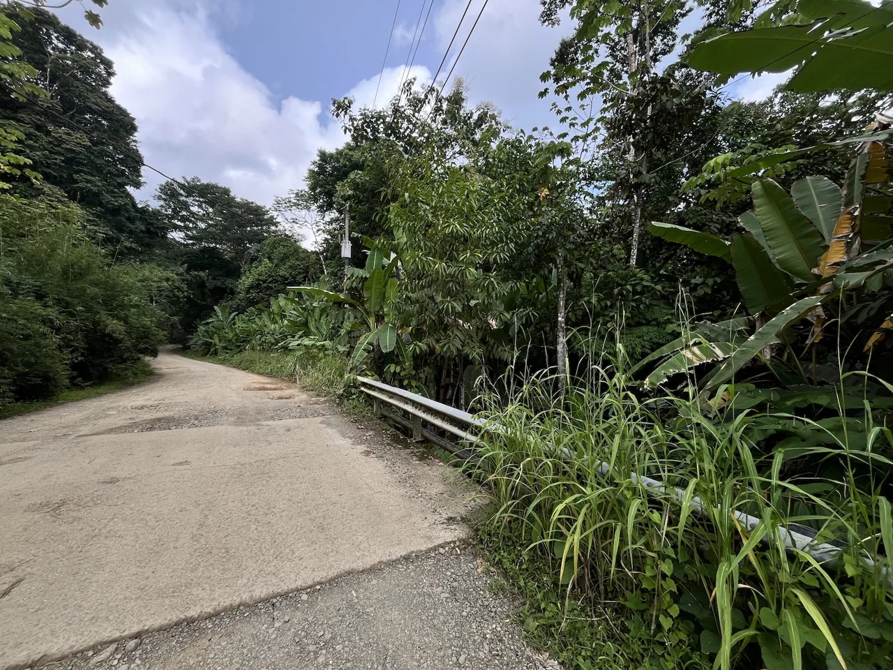 BUILDING PROPERTY WITH PUBLIC ROAD IN ROAD VIEWS, IN LA COLONIA – 14.2 ACRES, photo 11