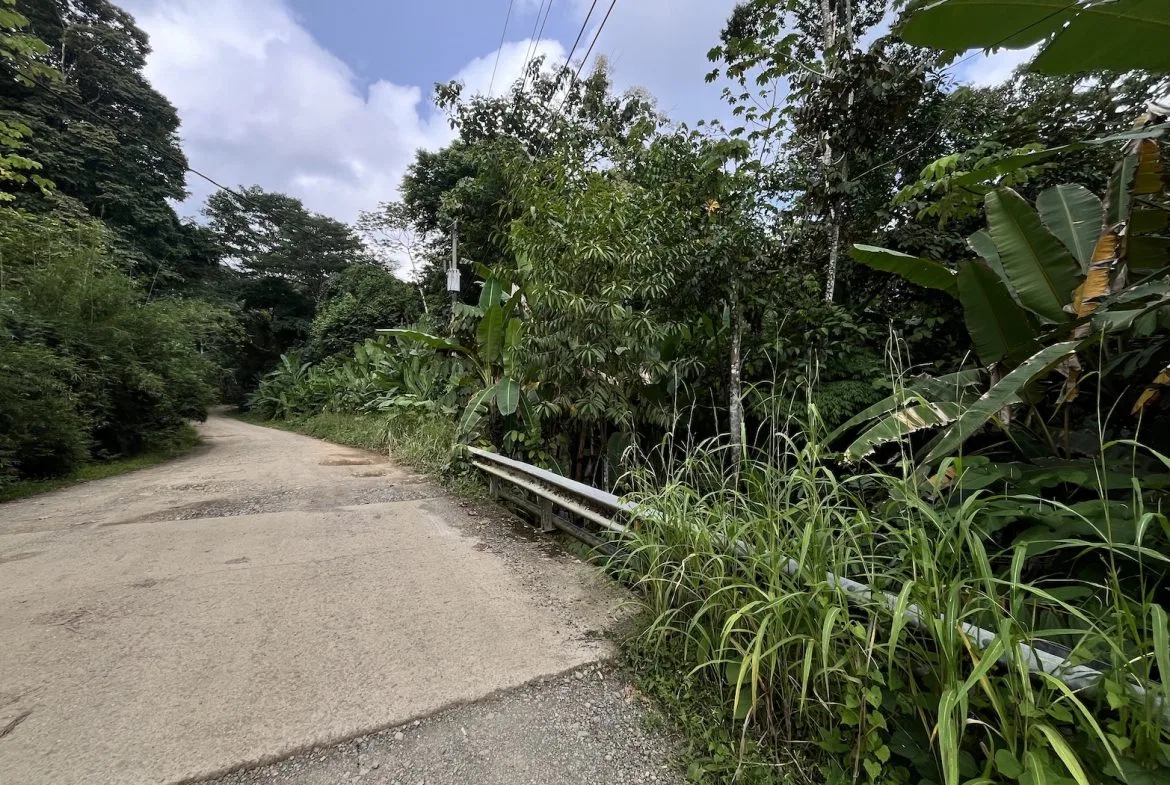 BUILDING PROPERTY WITH PUBLIC ROAD IN ROAD VIEWS, IN LA COLONIA – 14.2 ACRES, photo 12